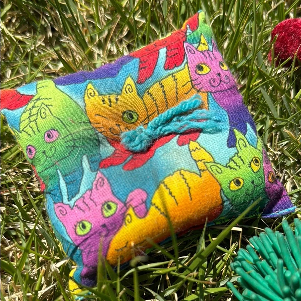 Colorful Cat Toy Set